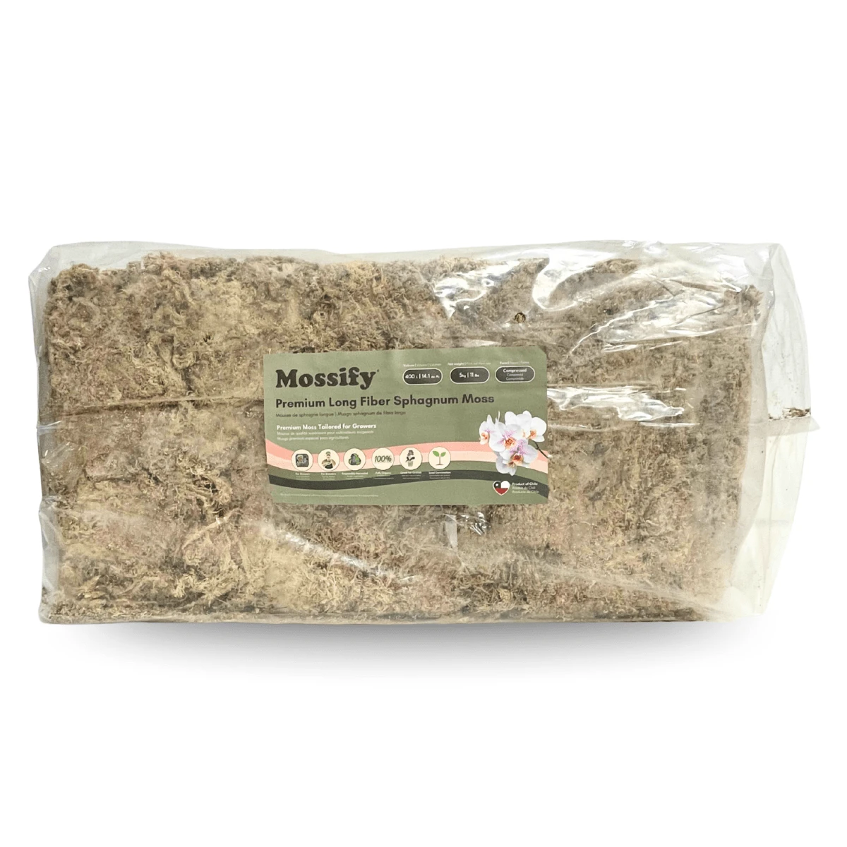 Premium Long Fiber Sphagnum Moss – Orchid & Kokedama Substrate (150g) 18 Premium Long Fiber Sphagnum Moss – Orchid & Kokedama Substrate (150g) - Image 16