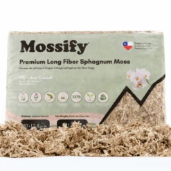 Premium Long Fiber Sphagnum Moss – Orchid & Kokedama Substrate (150g) 31 Premium Long Fiber Sphagnum Moss – Orchid & Kokedama Substrate (150g) -Ed's plant shop premium long fiber sphagnum moss orchid kokedama substrate 150g 8741943