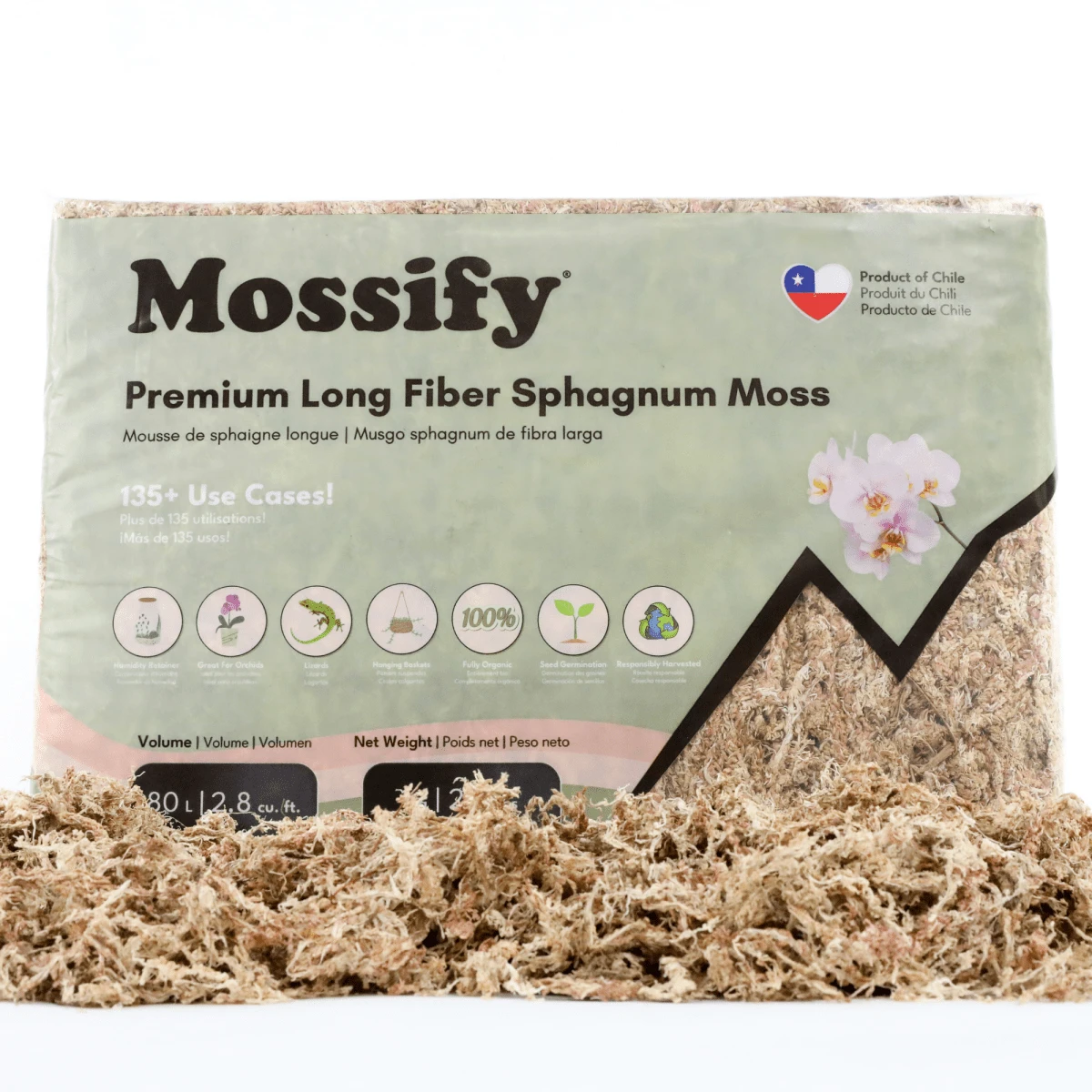 Premium Long Fiber Sphagnum Moss – Orchid & Kokedama Substrate (150g) 16 Premium Long Fiber Sphagnum Moss – Orchid & Kokedama Substrate (150g) - Image 14