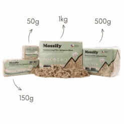 Premium Long Fiber Sphagnum Moss – Orchid & Kokedama Substrate (150g) 25 Premium Long Fiber Sphagnum Moss – Orchid & Kokedama Substrate (150g) -Ed's plant shop premium long fiber sphagnum moss orchid kokedama substrate 150g 9726522