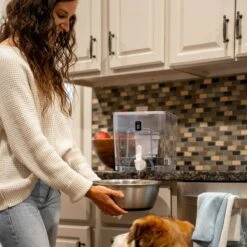 Pure Dispenser | Fluoride & PFAS-Free Water Solution -Ed's plant shop pure dispenser fluoride pfas free water solution 729422