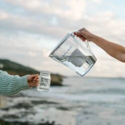 Pure Replacement Filter | Removes Fluoride & PFAS -Ed's plant shop pure replacement filter removes fluoride pfas 274642