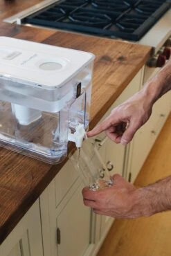 Pure Replacement Filter | Removes Fluoride & PFAS -Ed's plant shop pure replacement filter removes fluoride pfas 419486