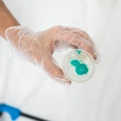 Resin Serving Tray Kit -Ed's plant shop resin serving tray kit 113745