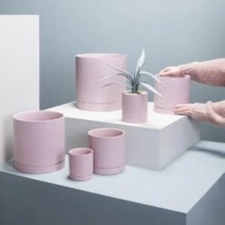 Romey Planter Pot With Water Saucer 4.75 Inch -Ed's plant shop romey planter pot with water saucer 475 inch 776475