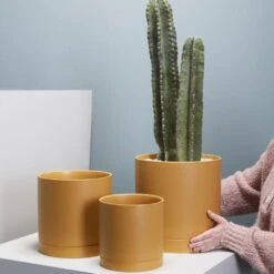 Romey Planter Pot With Water Saucer 4.75 Inch -Ed's plant shop romey planter pot with water saucer 475 inch 956587