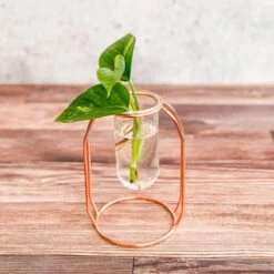 Rose Gold Propagation Station & Vase -Ed's plant shop rose gold propagation station vase 103953