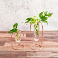 Rose Gold Propagation Station & Vase