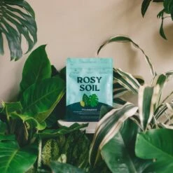 Rosy Soil Organic Indoor Potting Mix- Houseplant 4qt. -Ed's plant shop rosy soil organic indoor potting mix houseplant 4qt 117592