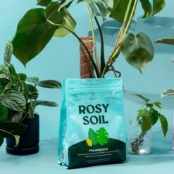 Rosy Soil Organic Indoor Potting Mix- Houseplant 4qt. -Ed's plant shop rosy soil organic indoor potting mix houseplant 4qt 830629