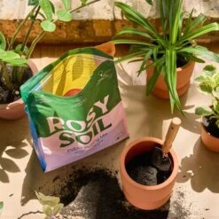 Rosy Soil Organic Indoor Potting Mix- Houseplant 8qt. -Ed's plant shop rosy soil organic indoor potting mix houseplant 8qt 319172