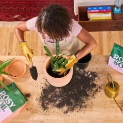 Rosy Soil Organic Indoor Potting Mix- Houseplant 8qt. -Ed's plant shop rosy soil organic indoor potting mix houseplant 8qt 936333