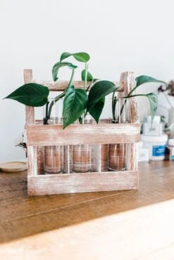 Rustic DIY Weathered Wood Caddy Kit – Customizable Home Decor -Ed's plant shop rustic diy weathered wood caddy kit customizable home decor 258890