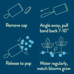 Seed Confetti Popper – Eco-Friendly Party Favors That Grow Wildflowers! -Ed's plant shop seed confetti popper eco friendly party favors that grow wildflowers 9508128