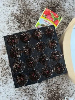 Seedling Mix - Seed Staring Soil For All Seeds -Ed's plant shop seedling mix seed staring soil for all seeds 752306