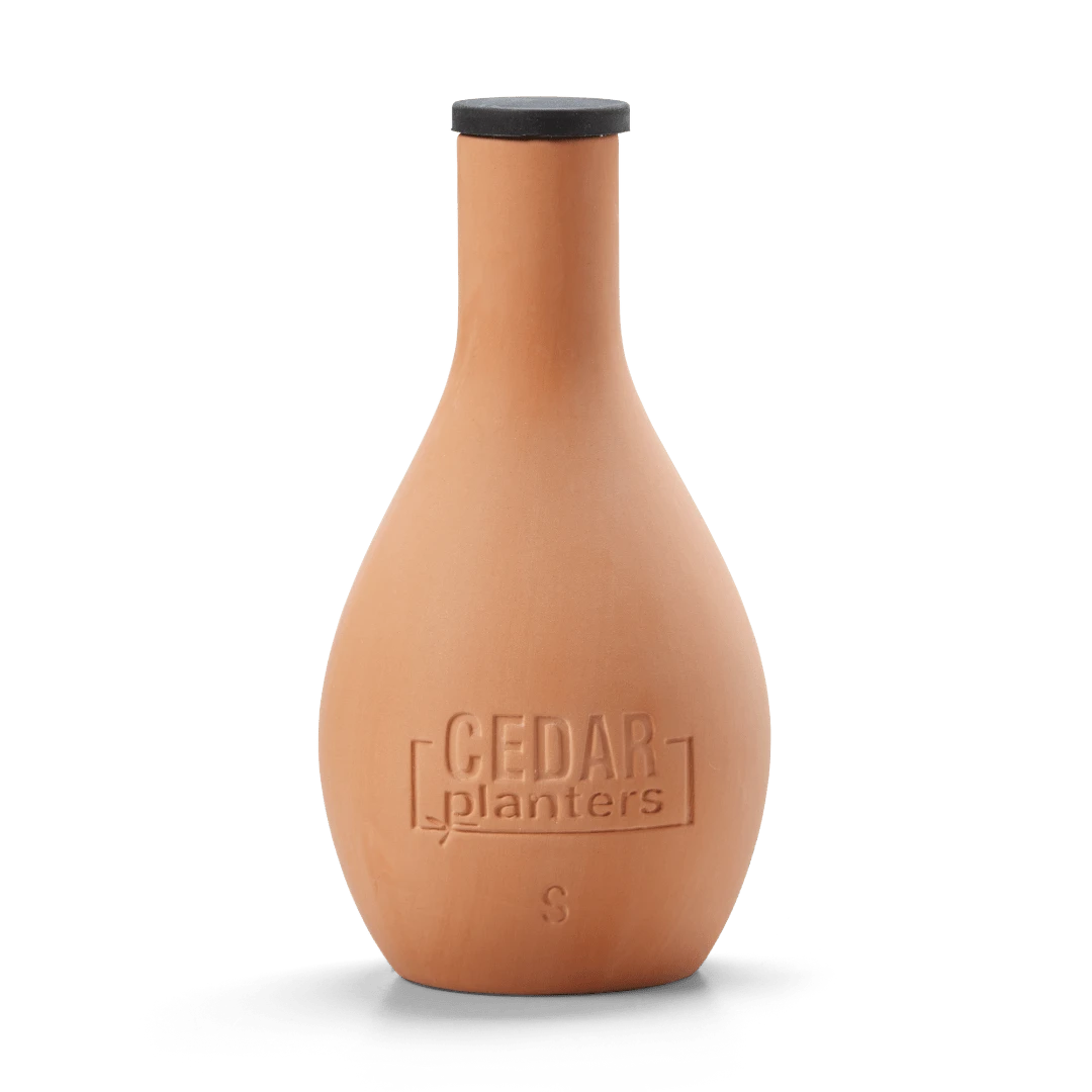 Self-Watering Clay Olla Pot – Slow-Release Irrigation System 6 Self-Watering Clay Olla Pot – Slow-Release Irrigation System - Image 4