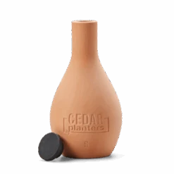 Self-Watering Clay Olla Pot – Slow-Release Irrigation System 18 Self-Watering Clay Olla Pot – Slow-Release Irrigation System -Ed's plant shop self watering clay olla pot slow release irrigation system 212288