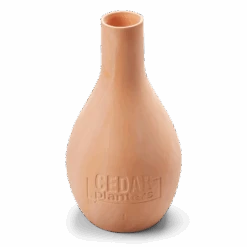 Self-Watering Clay Olla Pot – Slow-Release Irrigation System 26 Self-Watering Clay Olla Pot – Slow-Release Irrigation System -Ed's plant shop self watering clay olla pot slow release irrigation system 269652