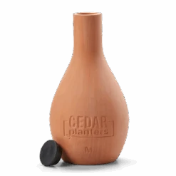 Self-Watering Clay Olla Pot – Slow-Release Irrigation System 21 Self-Watering Clay Olla Pot – Slow-Release Irrigation System -Ed's plant shop self watering clay olla pot slow release irrigation system 712564