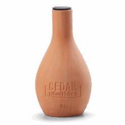 Self-Watering Clay Olla Pot – Slow-Release Irrigation System 23 Self-Watering Clay Olla Pot – Slow-Release Irrigation System -Ed's plant shop self watering clay olla pot slow release irrigation system 924646