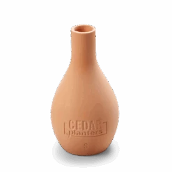 Self-Watering Clay Olla Pot – Slow-Release Irrigation System 20 Self-Watering Clay Olla Pot – Slow-Release Irrigation System -Ed's plant shop self watering clay olla pot slow release irrigation system 969109