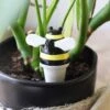 Self Watering Device - Bee -Ed's plant shop self watering device bee 898487