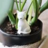 Self Watering Device - Cat -Ed's plant shop self watering device cat 998044