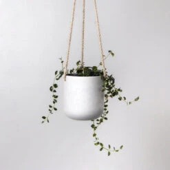 Signature Stone Hanging Planter Pot 4.75 Inch 15 Signature Stone Hanging Planter Pot 4.75 Inch -Ed's plant shop signature stone hanging planter pot 475 inch 752193