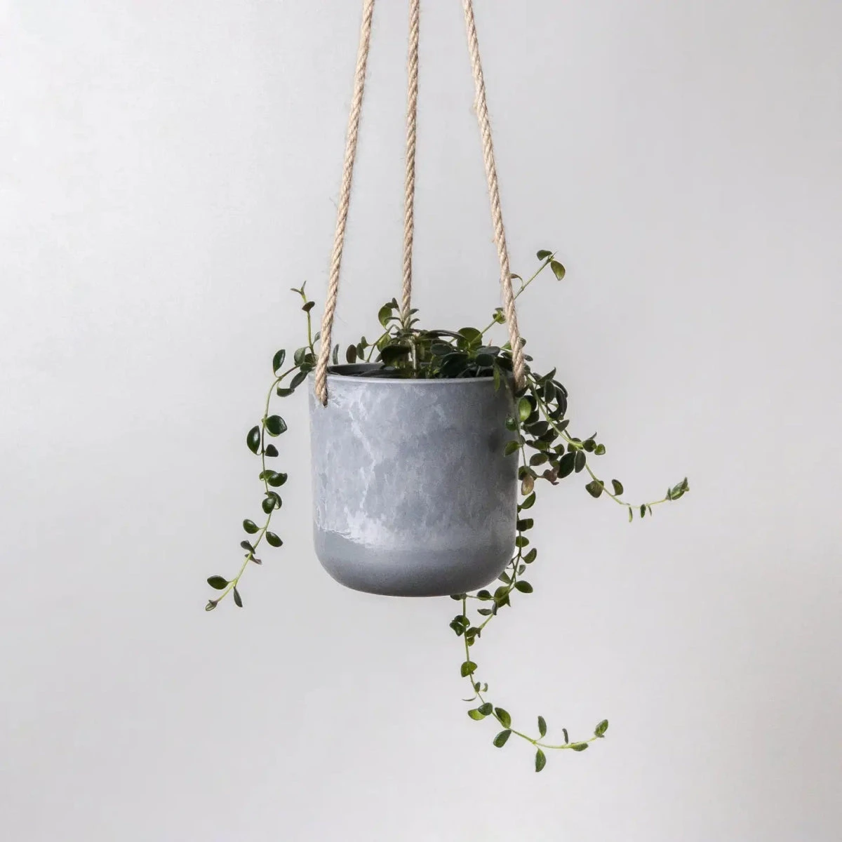 Signature Stone Hanging Planter Pot 4.75 Inch 3 Signature Stone Hanging Planter Pot 4.75 Inch