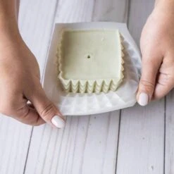 Silicone Mold Candle Making Kit -Ed's plant shop silicone mold candle making kit 166141