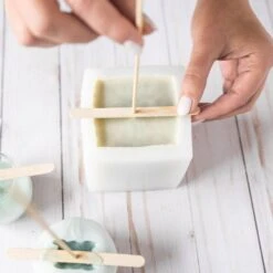 Silicone Mold Candle Making Kit -Ed's plant shop silicone mold candle making kit 860406