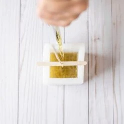 Silicone Mold Candle Making Kit -Ed's plant shop silicone mold candle making kit 948616