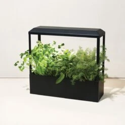 Smart LED Growhouse| Countertop Grow Light With Planter -Ed's plant shop smart led growhouse countertop grow light with planter 299940