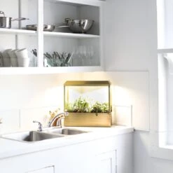 Smart LED Growhouse| Countertop Grow Light With Planter -Ed's plant shop smart led growhouse countertop grow light with planter 562438