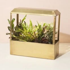 Smart LED Growhouse| Countertop Grow Light With Planter -Ed's plant shop smart led growhouse countertop grow light with planter 855680