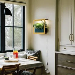 Smart Standard Growframe (Online Only) | Wall-Mountable LED Grow Light Frame -Ed's plant shop smart standard growframe online only wall mountable led grow light frame 531250