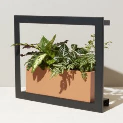 Smart Standard Growframe (Online Only) | Wall-Mountable LED Grow Light Frame -Ed's plant shop smart standard growframe online only wall mountable led grow light frame 869636