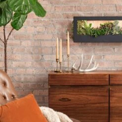 Smart Standard Growframe | Wall-Mountable LED Grow Light Frame 12 Smart Standard Growframe | Wall-Mountable LED Grow Light Frame -Ed's plant shop smart standard growframe online only wall mountable led grow light frame 869714