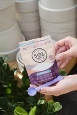 Sol Biotics – Repot Recovery: Probiotic Transplant Shock Relief -Ed's plant shop sol biotics repot recovery 815629