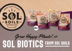 Sol Biotics – Repot Recovery: Probiotic Transplant Shock Relief -Ed's plant shop sol biotics repot recovery probiotic transplant shock relief 4588396