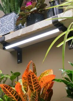 Soltech Solutions- Grove LED Grow Light -Ed's plant shop soltech solutions grove led grow light 954329