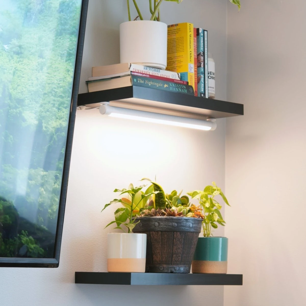 Soltech Solutions- Grove LED Grow Light Bundle 8 Soltech Solutions- Grove LED Grow Light Bundle - Image 6