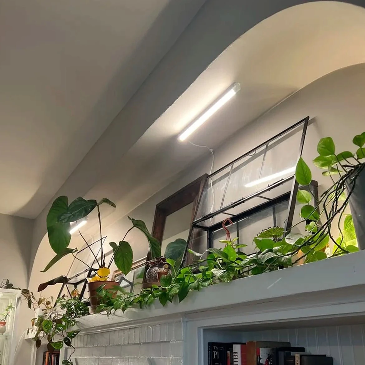 Soltech Solutions- Grove LED Grow Light Bundle 11 Soltech Solutions- Grove LED Grow Light Bundle - Image 9