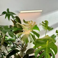 Soltech Solutions- Grove LED Grow Light Bundle 14 Soltech Solutions- Grove LED Grow Light Bundle -Ed's plant shop soltech solutions grove led grow light bundle 819523