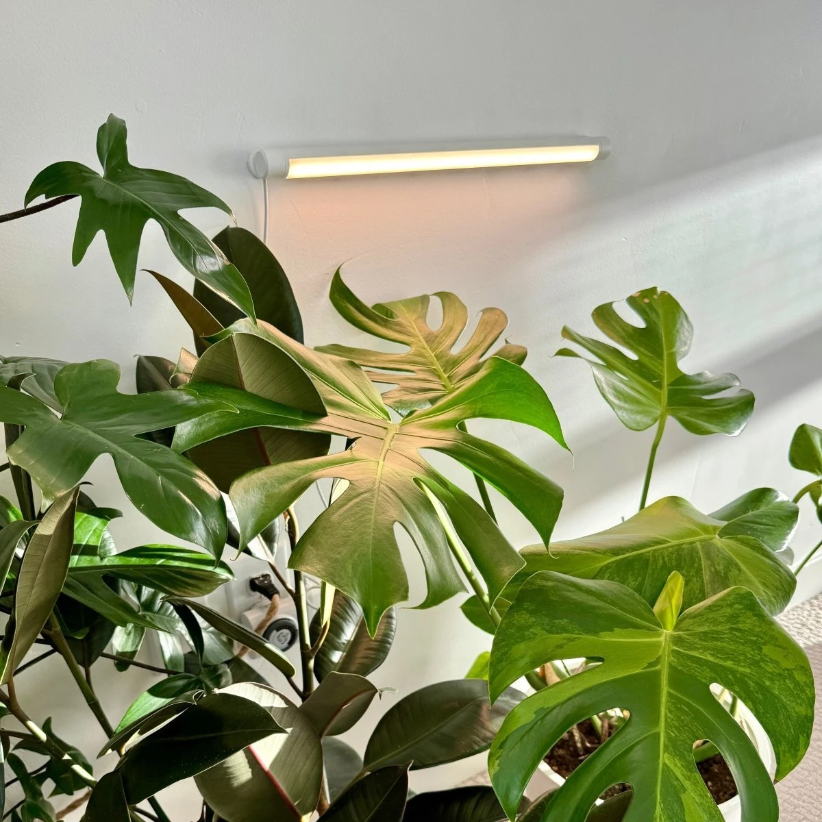 Soltech Solutions- Grove LED Grow Light Bundle 6 Soltech Solutions- Grove LED Grow Light Bundle - Image 4