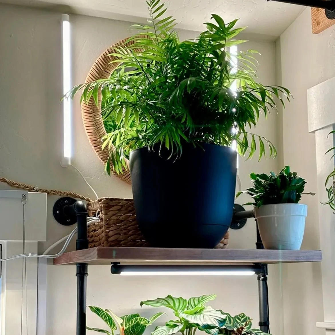 Soltech Solutions- Grove LED Grow Light Bundle 10 Soltech Solutions- Grove LED Grow Light Bundle - Image 8