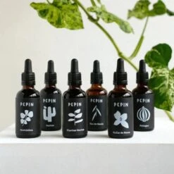 Specialized Cactus Fertilizer - Tailored Nutrient Solution For Cacti And Succulents 6 Specialized Cactus Fertilizer - Tailored Nutrient Solution For Cacti And Succulents -Ed's plant shop specialized cactus fertilizer tailored nutrient solution for cacti and succulents 436282