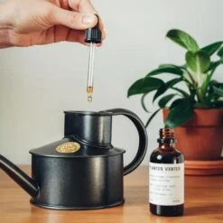 Specialized Cactus Fertilizer - Tailored Nutrient Solution For Cacti And Succulents 7 Specialized Cactus Fertilizer - Tailored Nutrient Solution For Cacti And Succulents -Ed's plant shop specialized cactus fertilizer tailored nutrient solution for cacti and succulents 897290