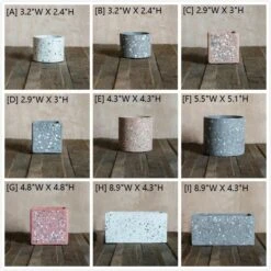 Speckled Cement Planter In Various Shape, Colors, And Sizes 11 Speckled Cement Planter In Various Shape, Colors, And Sizes -Ed's plant shop speckled cement planter in various shape colors and sizes 760502