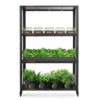 Spider Farmer 3 Tier Metal Plant Stand With Trays -Ed's plant shop spider farmer 3 tier metal plant stand with trays 713295